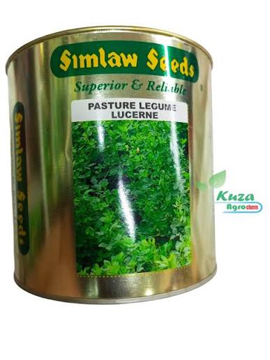 pasture legume lucerne